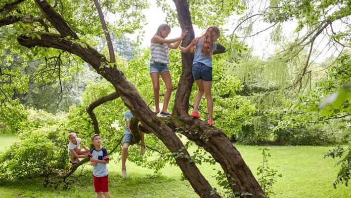 Sire campagne; Laat jongens weer jongens zijn; Kinderen buitenspelen