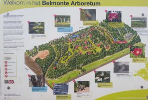 Belmonte Arboretum Wageningen