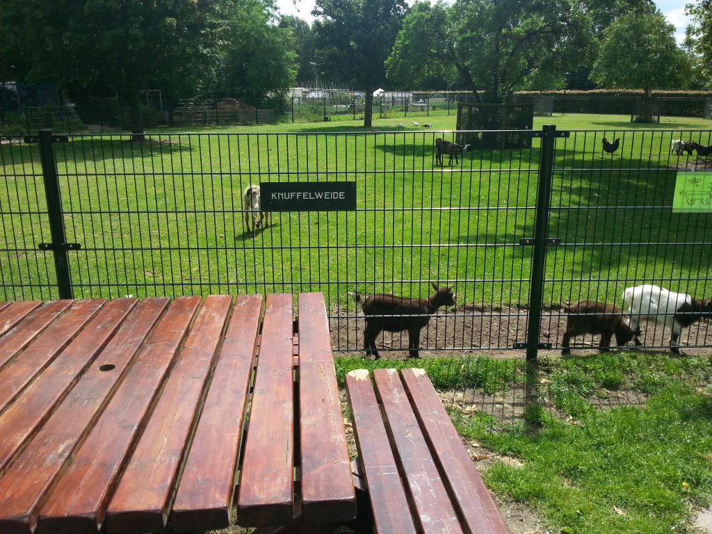 Kinderboerderij de oude hofstede