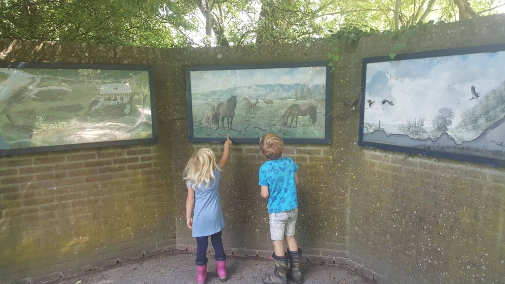 Natuurgebied de Blauwe Kamer Utrechts Landschap