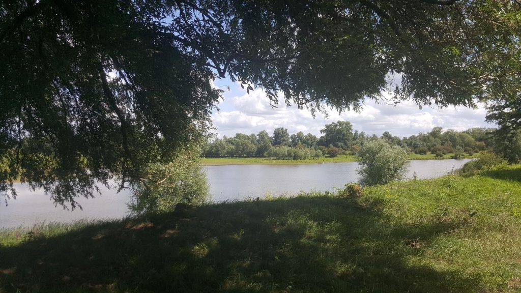 Natuurgebied Blauwe Kamer Wageningen Utrechts Landschap