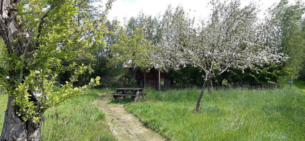 Uitje in Groningen Theetuin Blotevoetenhof; Wandelingen, blote voetenpad en meer