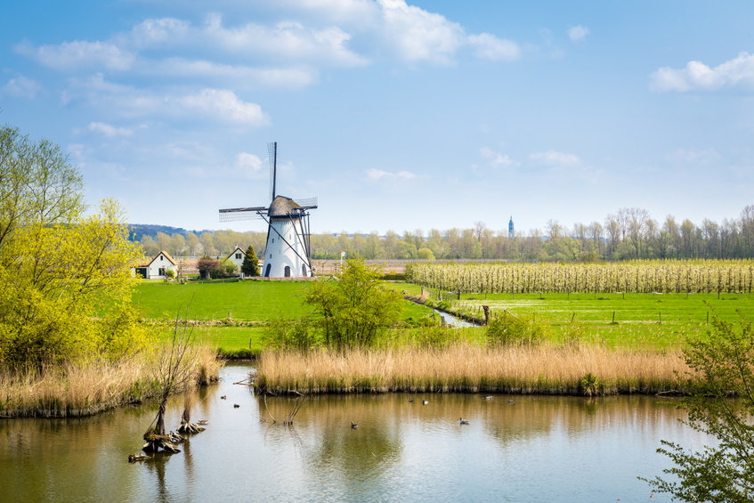 Achter de schermen augustus 2021