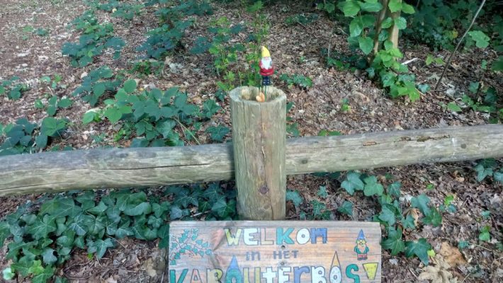 Kabouterbos Bellingwolde, leuke activiteit met kinderen in de provincie Groningen