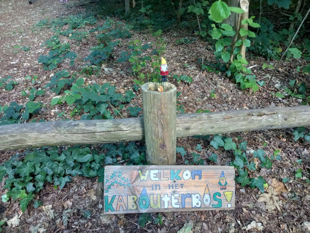 Kabouterbos Bellingwolde, leuke activiteit met kinderen in de provincie Groningen