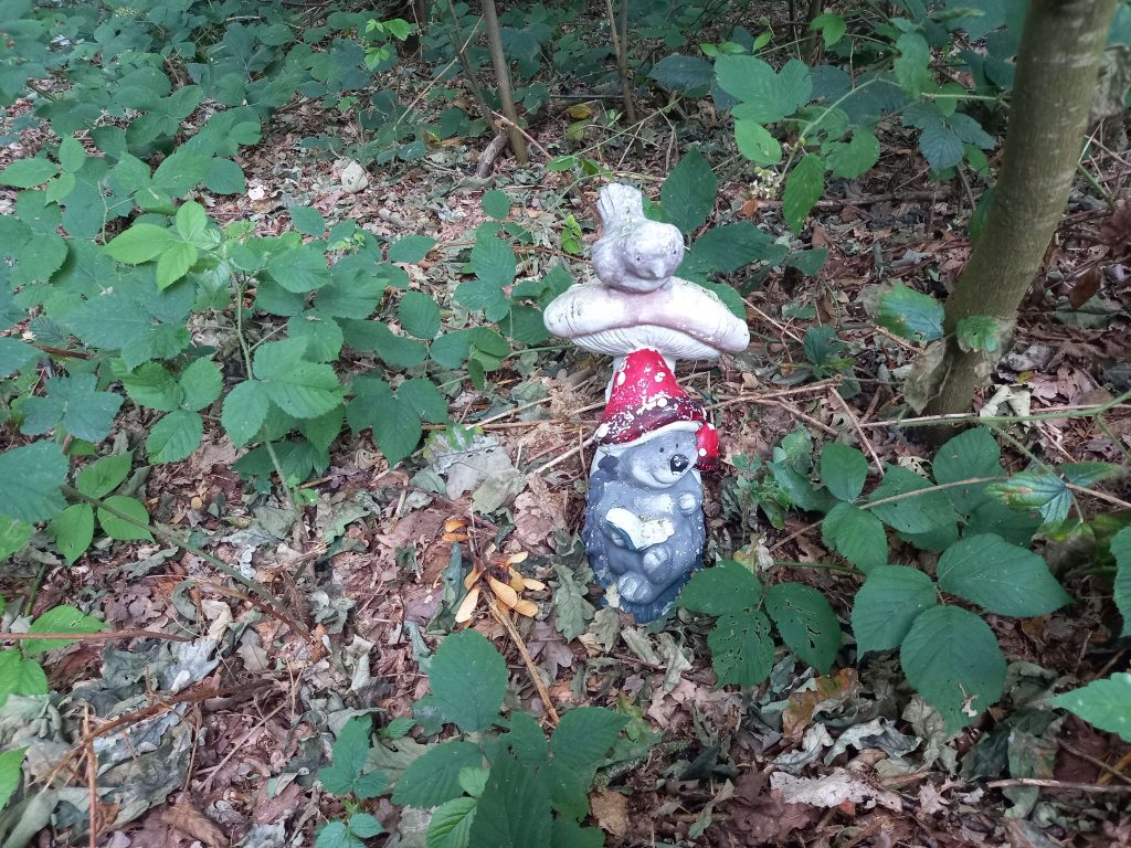 Kabouterbos Bellingwolde, Westerwolde, Provincie Groningen