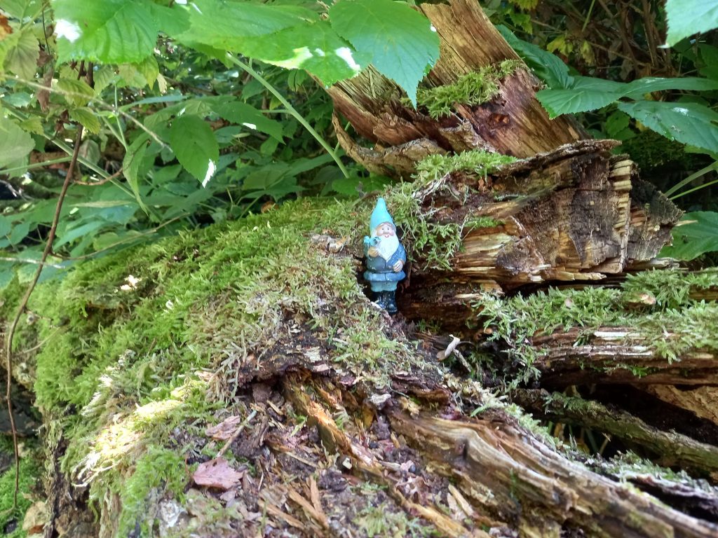 Kabouterbos Bellingwolde, Westerwolde, Provincie Groningen