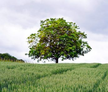 Een jaar Groningen, hoe bevalt het ons?