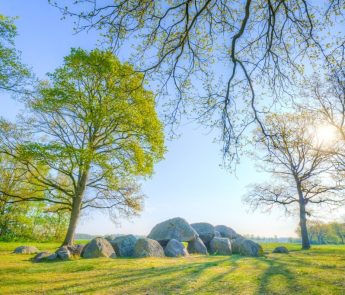 Roompot Bospark Lunsbergen - Op vakantie naar Drenthe