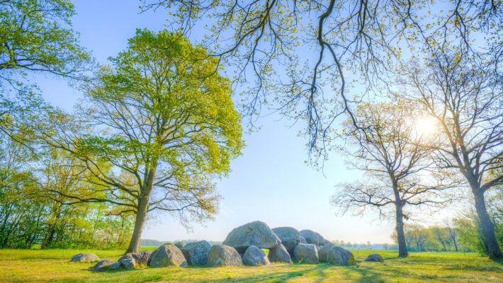 Roompot Bospark Lunsbergen - Op vakantie naar Drenthe