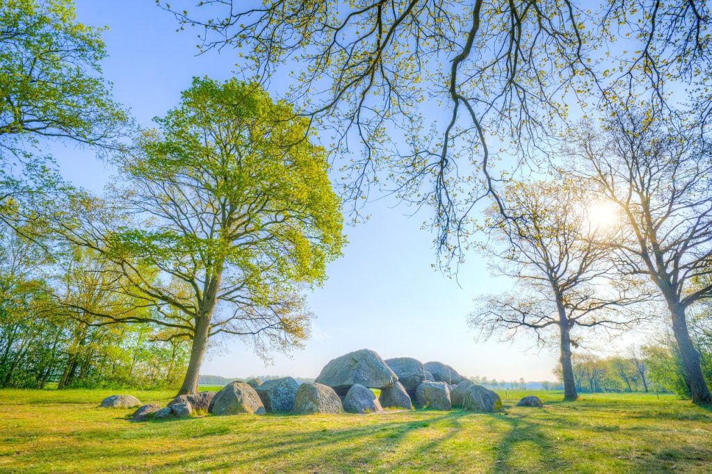 Roompot Bospark Lunsbergen - Op vakantie naar Drenthe